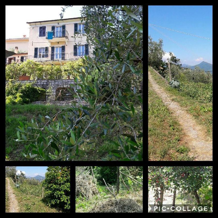Rural House Rondini 호텔 Camposasco 외부 사진