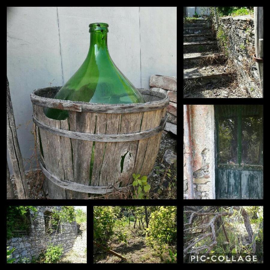 Rural House Rondini 호텔 Camposasco 외부 사진