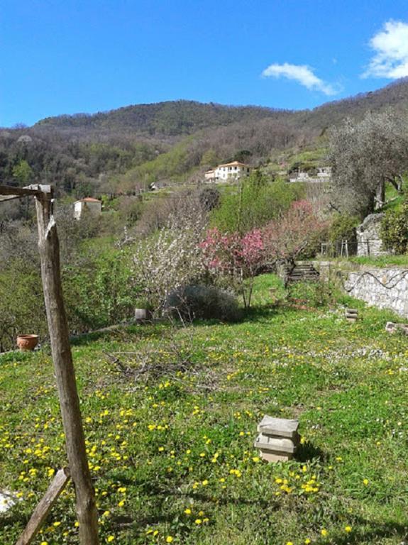 Rural House Rondini 호텔 Camposasco 외부 사진